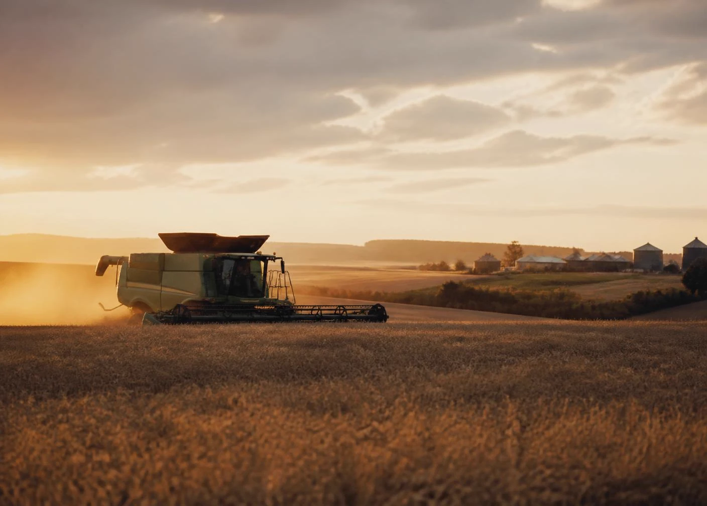 Combine moving through a wheat field at dusk