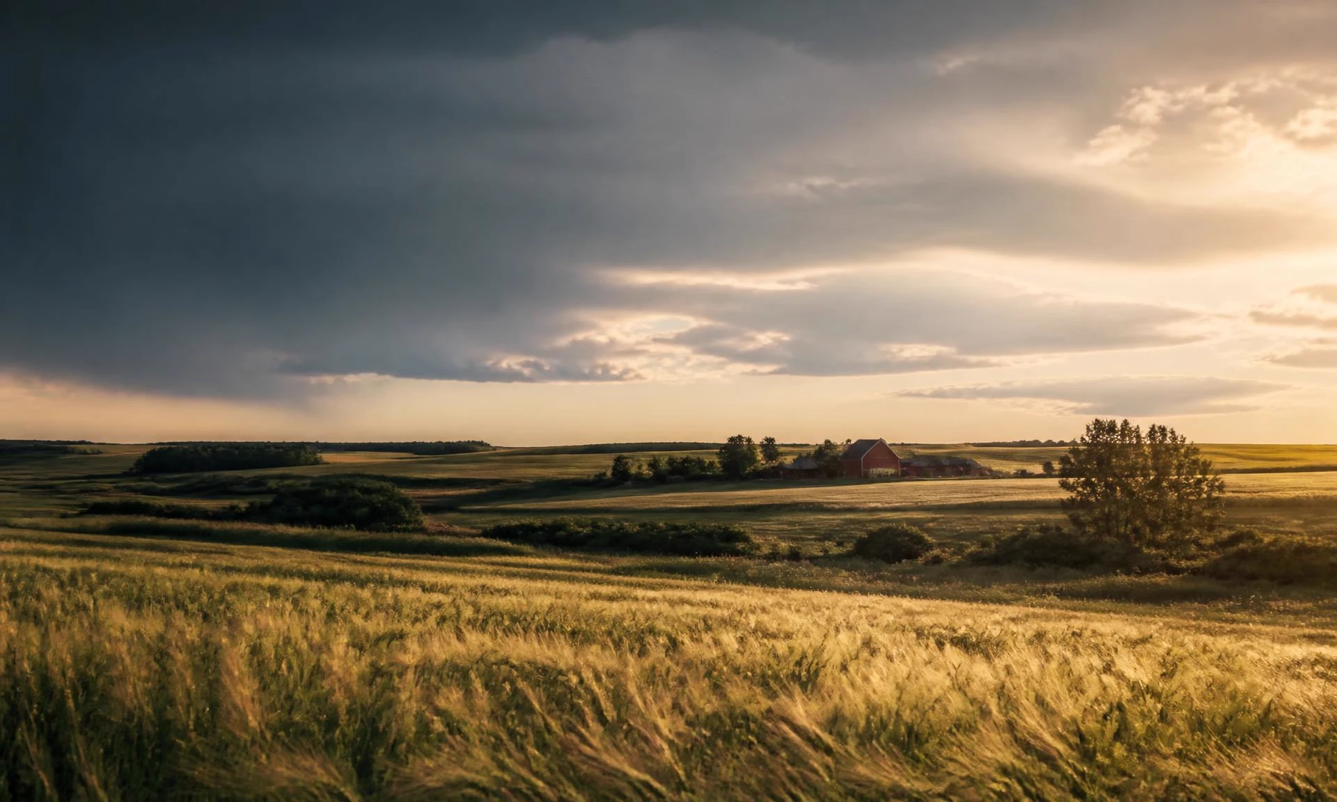 Prairie fields and a family farm beneath an Alberta sky
